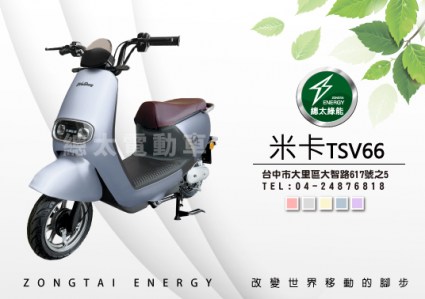 tsv66-01